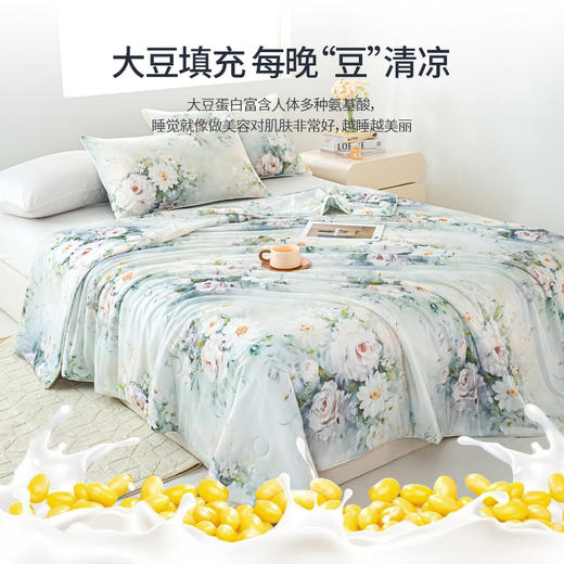 【三伏天救命夏被】ROMASTER(罗马世家)3D数码印花双面凉感丝夏凉被A类标准数亲肤透气12款可选（单被子无枕头） 商品图2