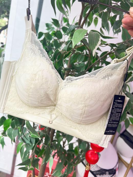 新款春韵系列小胸下厚上薄舒适微调整内衣2118437 商品图4