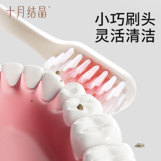 牙膏牙刷套装月子牙刷口腔 商品图4
