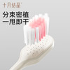 牙膏牙刷套装月子牙刷口腔 商品缩略图2