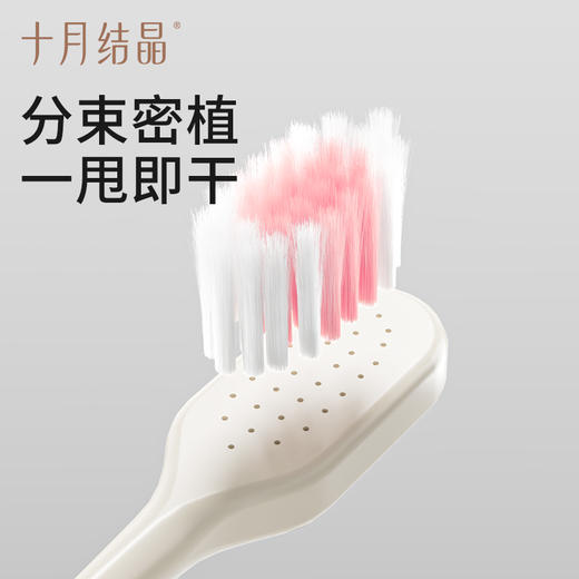 牙膏牙刷套装月子牙刷口腔 商品图2