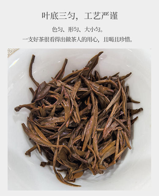 川红君眉 25克 蒙山顶上 四川土种茶树制作 商品图4