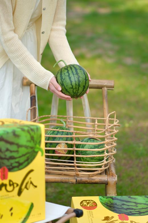 海南冰淇淋黄心西瓜 脆甜口 商品图5