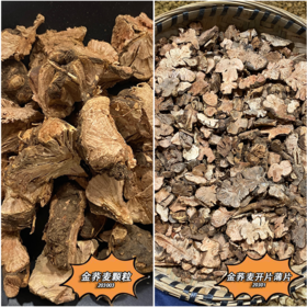 金荞麦 云南特有金荞麦 荞麦根