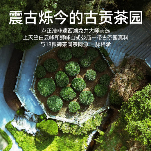 2026年新茶上市【无双礼盒】卢正浩无双明前头采精品级西湖龙井绿茶茶叶礼盒装20克绿茶茶叶 商品图6