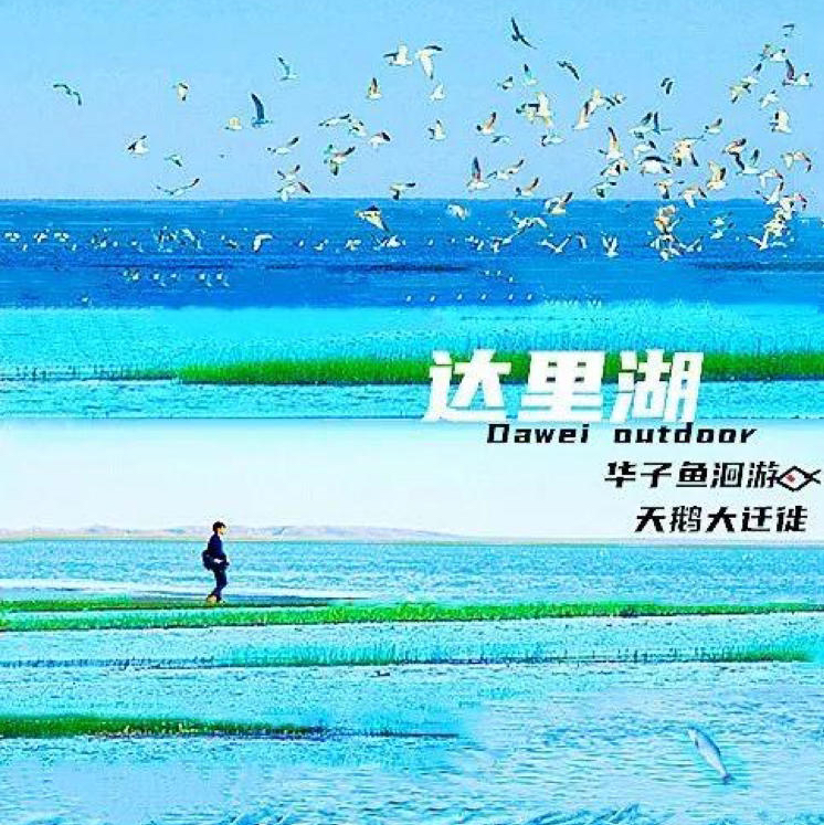 五一4天【达达线 立减40元】华子鱼洄游奇观の山戎部落贡格尔草原-玉龙沙湖-石林-达里湖-大青山