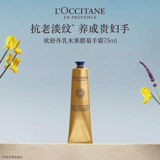 【1F】欧舒丹乳木果腊菊手部紧致精华霜 75ml 商品图0