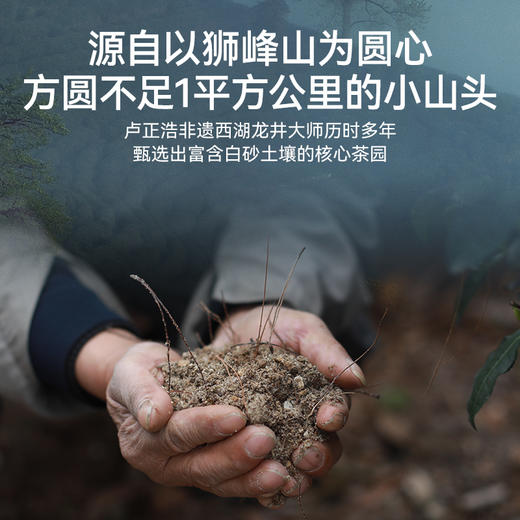 2026年新茶上市【狮莲心礼盒】卢正浩狮莲心明前精品级西湖龙井绿茶茶叶礼盒装150克绿茶茶叶 商品图9