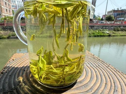 2025春 骑火茶·老龙井 125克 （不看颜值，只要滋味的可以入） 商品图5