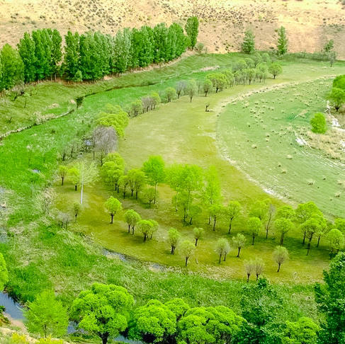 五一3天【萨拉乌苏徒步 立减80元】公格沟丹霞地貌の康巴什喷泉夜景-涝利海 商品图1