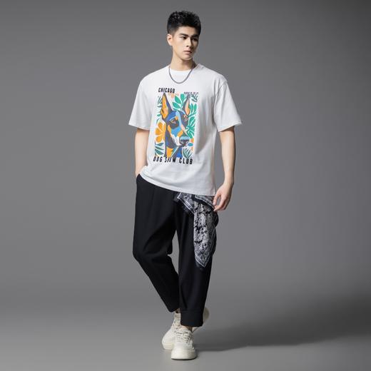 PINLI品立2025夏季新款狗狗印花短袖T恤男潮牌休闲圆领体恤衫上衣BG252111036 商品图3