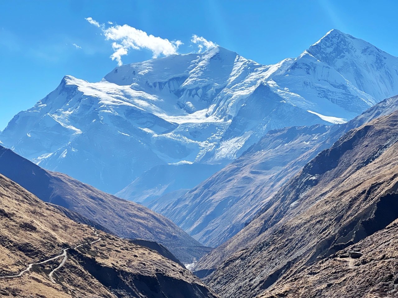 14座8000米-安娜普尔纳ACT+Mardi Himal Trek