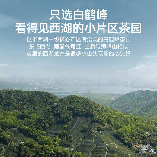 2026年新茶上市【白鹤西湖龙井】卢正浩明前精品白鹤奇茗50g礼盒绿茶茶叶 商品图2
