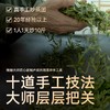 【2026年新茶】卢正浩狮字号听50克西湖龙井一级核心产区明前特级茶叶自己喝绿茶罐 商品缩略图1