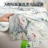【三伏天救命夏被】ROMASTER(罗马世家)3D数码印花双面凉感丝夏凉被A类标准数亲肤透气12款可选（单被子无枕头） 商品缩略图4