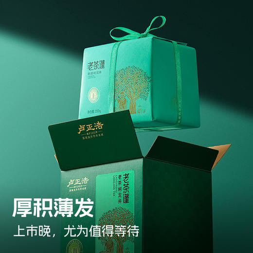 【老茶蓬老茶树】2026年新茶上市 卢正浩250克纸包明前特级龙井茶绿茶茶叶 商品图2