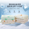 【三伏天救命夏被】ROMASTER(罗马世家)3D数码印花双面凉感丝夏凉被A类标准数亲肤透气12款可选（单被子无枕头） 商品缩略图1
