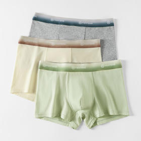 芬腾纯棉内裤男款夏季冰丝抗菌裆平角裤青年运动透气大码四角短裤