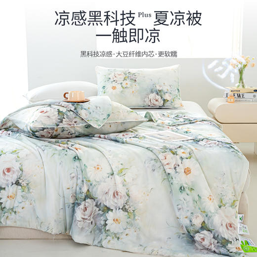 【三伏天救命夏被】ROMASTER(罗马世家)3D数码印花双面凉感丝夏凉被A类标准数亲肤透气12款可选（单被子无枕头） 商品图0