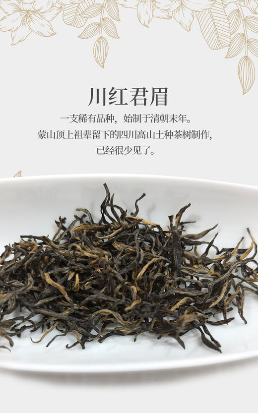 川红君眉 25克 蒙山顶上 四川土种茶树制作 商品图1