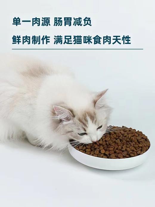 鲜朗猫干粮鲜肉烘培 商品图5