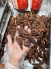 重庆特产【手撕风干猪肉】 商品缩略图1