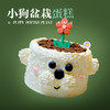 小狗盆栽蛋糕 商品缩略图0