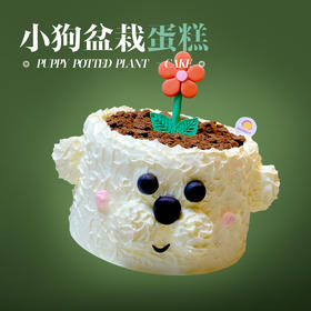 小狗盆栽蛋糕
