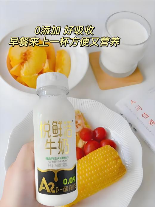 【亚欧超市】君乐宝悦鲜活A2鲜牛奶260g/瓶 商品图0