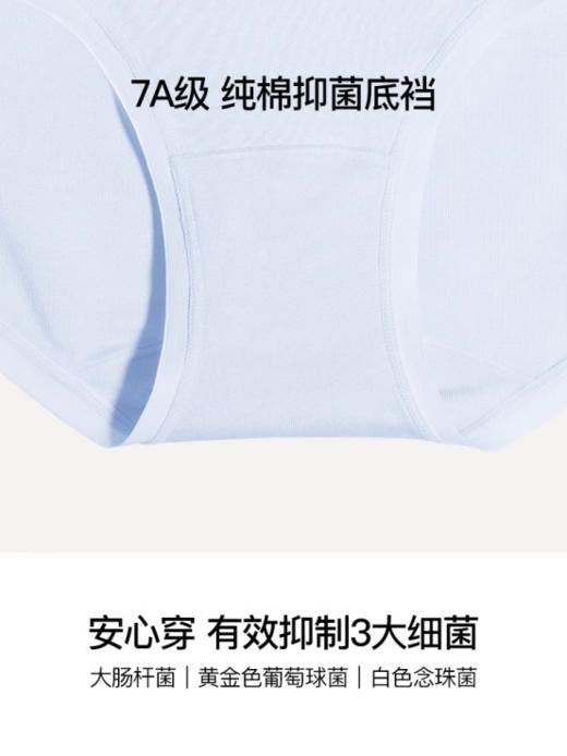 【40S莫代尔纯棉底裆女士中腰三角裤（三条装）】✅40S兰精莫代尔，天然亲肤，如丝般顺滑细腻 ✅7A级纯棉底裆，有效抑制三大细菌，安心穿 商品图5