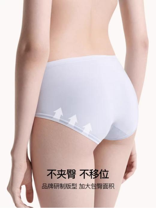 【40S莫代尔纯棉底裆女士中腰三角裤（三条装）】✅40S兰精莫代尔，天然亲肤，如丝般顺滑细腻 ✅7A级纯棉底裆，有效抑制三大细菌，安心穿 商品图3