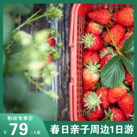 清明遛娃不费妈！大连近郊一日游！紫云花汐庄园踏青+草莓采摘+喂小动物+小黑山登山+农家饭，承包全家春日快乐！