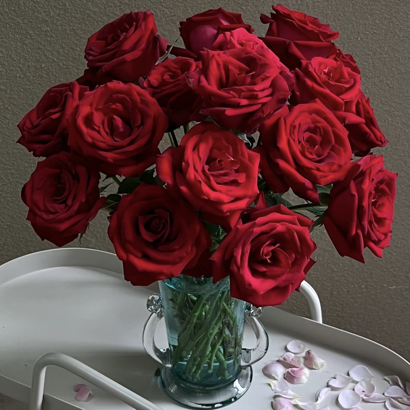 【勃艮第丝绒】玫瑰-红色系 40cm 10枝 | 公众号专享