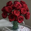 【勃艮第丝绒】玫瑰-红色系 40cm 10枝 | 公众号专享 商品缩略图0