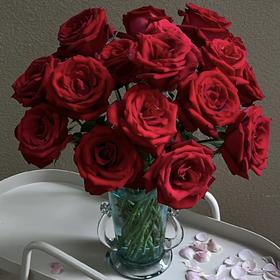 【勃艮第丝绒】玫瑰-红色系 40cm 10枝 | 公众号专享