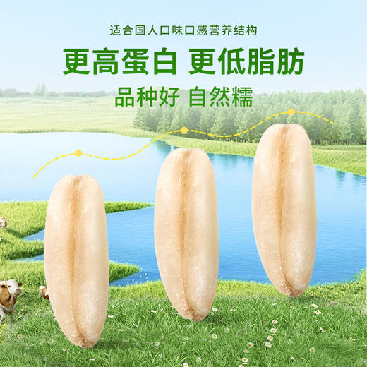 【品牌优选】【富营养高端礼盒】好麦多国燕一号有机银耳牛乳/亚麻籽黑麦燕麦片300g/盒*4-V2 商品图4