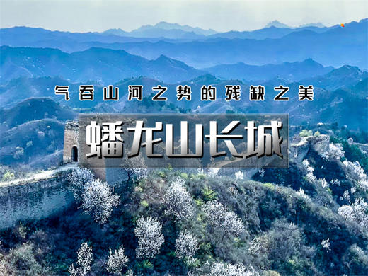 【蟠龙山1日】气吞山河之势的残缺之美漫山遍野的山杏花盛放 商品图0