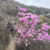 周三 /周末1天【大北梁 68元】环穿野趣の辛庄村-大北梁-北庄村环穿看杜鹃花12公里<初级> 商品缩略图0