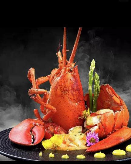 海朴波士顿龙虾现货冷冻大龙虾小青龙冰鲜海鲜水产年货礼盒 商品图1