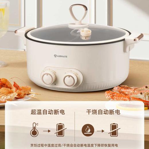 艾美特多功能料理锅CR2005 商品图3