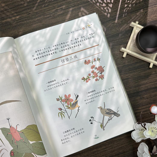 《漫画黄帝内经》精装（全2册）| 人人都能轻松读懂的黄帝内经，顺应时节养身养心 商品图3