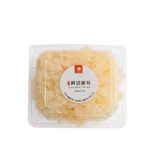 古田鲜活银耳   朵朵新鲜软糯胶质浓稠   没有烘烤加工 无需浸泡直接炖煮 顺丰快递 商品图6