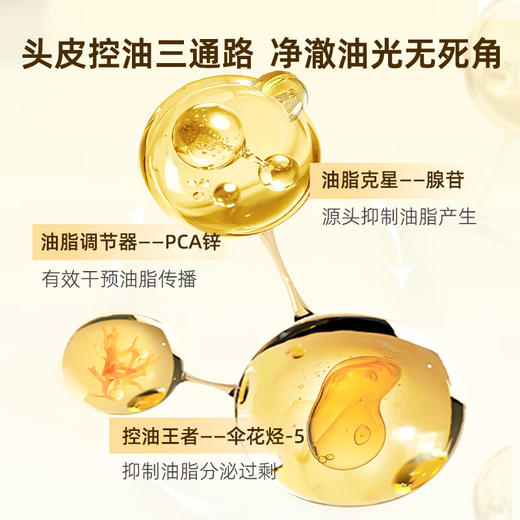 【菲诗蔻臻萃生姜洗护套装】  控油去屑 强韧健发 商品图2