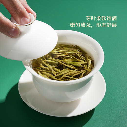 【特价】25年3月华祥苑尚宾龙井明前特级礼盒装 保质期18个月 商品图9