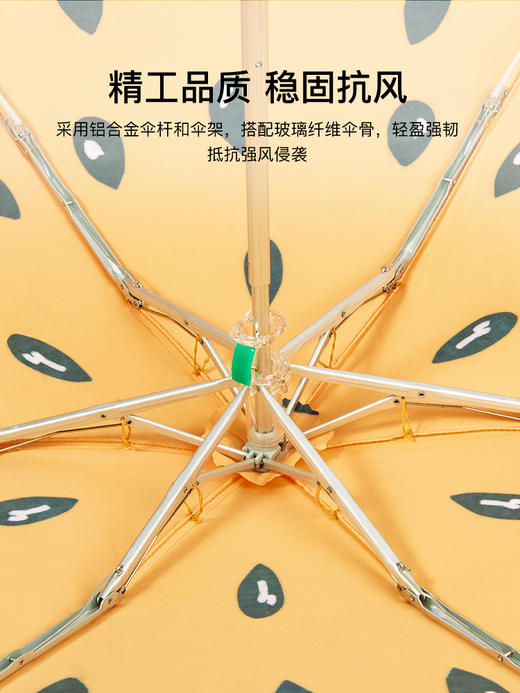 FULTON富尔顿 英国进口Tiny-2 UV Orange Kiwi 活力猕猴桃五折伞 WFTN2211 商品图3