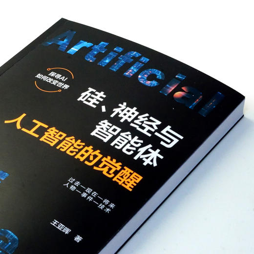 硅、神经与智能体：人工智能的觉醒 商品图1