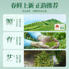 【送试泡】25年新茶华祥苑特级明前龙井头采绿茶兰香125g 商品缩略图6