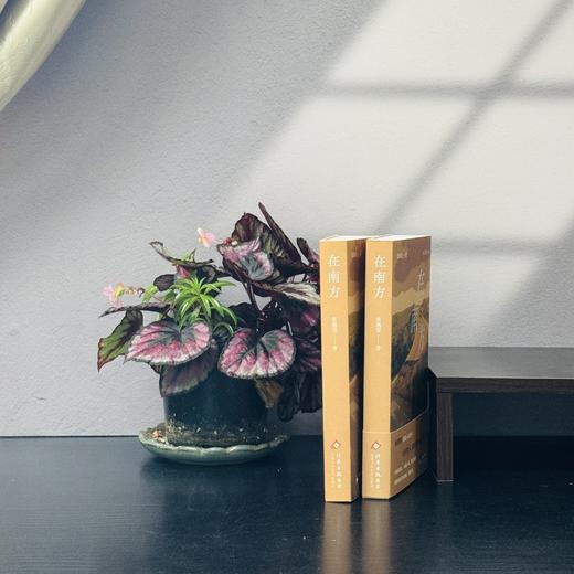 在南方（新版） 商品图3