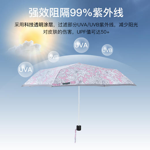 FULTON富尔顿 英国进口Morris Minilite-2 UV Cochineal Pink Chrysanthemum 三折伞 WFNM2401+FTBX-05 商品图3