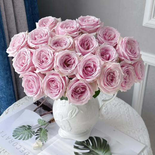 【山岚褶皱】玫瑰-雪山-单色随机40cm 10枝   | 新客福利 商品图1